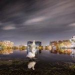 Bassin Jacques Coeur Montpellier