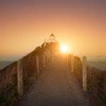 Nugget Point New Zealand