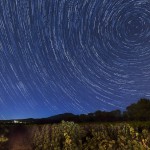 Circumpolaire