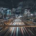 Urban Jungle (NYC2019)