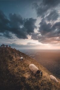 Puy de dome