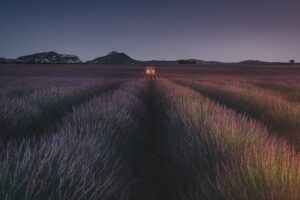 Valensole Night