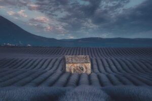 Valensole de nuit